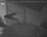 Capi_Dubne_20250406_033503.jpg