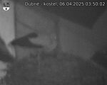 Capi_Dubne_20250406_035002.jpg