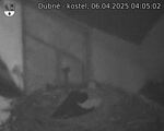 Capi_Dubne_20250406_040502.jpg