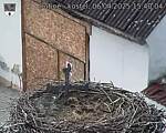 Capi_Dubne_20250406_154004.jpg
