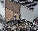 Capi_Dubne_20250406_161502.jpg