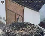 Capi_Dubne_20250406_171503.jpg