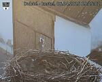 Capi_Dubne_20250406_192502.jpg