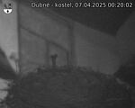 Capi_Dubne_20250407_002002.jpg