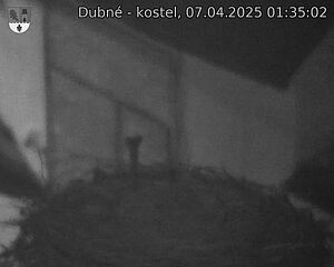 Capi_Dubne_20250407_013502.jpg (1350 x 1080)