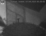 Capi_Dubne_20250407_052002.jpg