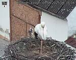 Capi_Dubne_20250407_063504.jpg