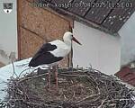 Capi_Dubne_20250407_115003.jpg