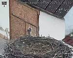 Capi_Dubne_20250407_124502.jpg