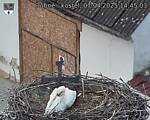 Capi_Dubne_20250407_144503.jpg