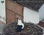 Capi_Dubne_20250407_163504.jpg