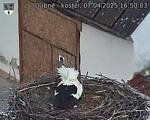 Capi_Dubne_20250407_165003.jpg