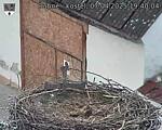 Capi_Dubne_20250407_194004.jpg