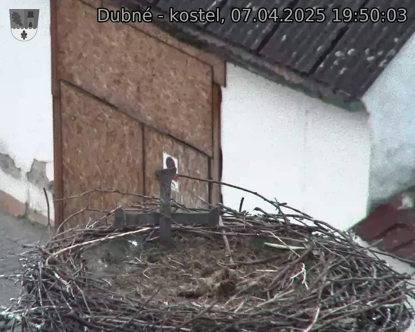 Capi_Dubne_20250407_195003.jpg (1350 x 1080)