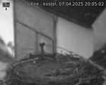 Capi_Dubne_20250407_200502.jpg