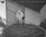 Capi_Dubne_20250407_201003.jpg