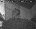 Capi_Dubne_20250407_204003.jpg