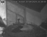 Capi_Dubne_20250407_222003.jpg