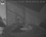 Capi_Dubne_20250408_012502.jpg