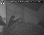 Capi_Dubne_20250408_031002.jpg