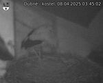 Capi_Dubne_20250408_034502.jpg