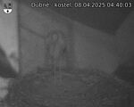 Capi_Dubne_20250408_044003.jpg