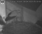 Capi_Dubne_20250408_051002.jpg