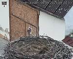 Capi_Dubne_20250408_092003.jpg