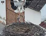 Capi_Dubne_20250408_092503.jpg
