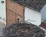 Capi_Dubne_20250408_125003.jpg