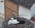 Capi_Dubne_20250408_143003.jpg