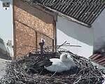 Capi_Dubne_20250408_153003.jpg