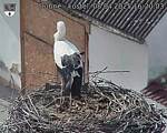 Capi_Dubne_20250408_162003.jpg