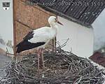 Capi_Dubne_20250408_163503.jpg