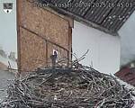 Capi_Dubne_20250408_164503.jpg