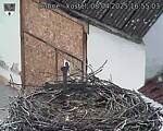 Capi_Dubne_20250408_165503.jpg