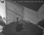 Capi_Dubne_20250408_203503.jpg