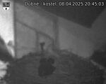 Capi_Dubne_20250408_204503.jpg