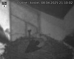 Capi_Dubne_20250408_211002.jpg