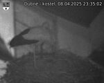 Capi_Dubne_20250408_233502.jpg