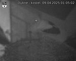 Capi_Dubne_20250409_010502.jpg