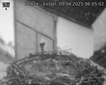 Capi_Dubne_20250409_060502.jpg