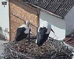 Capi_Dubne_20250409_151003.jpg