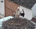 Capi_Dubne_20250409_195502.jpg