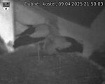 Capi_Dubne_20250409_215003.jpg