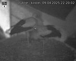 Capi_Dubne_20250409_222002.jpg