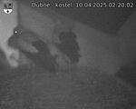 Capi_Dubne_20250410_022002.jpg