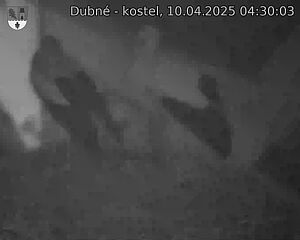 Capi_Dubne_20250410_043003.jpg (1350 x 1080)
