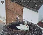Capi_Dubne_20250410_095504.jpg