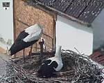 Capi_Dubne_20250410_131003.jpg